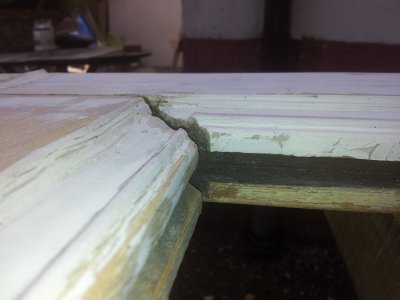 20120827_115513.jpg 20120827_115513.jpg