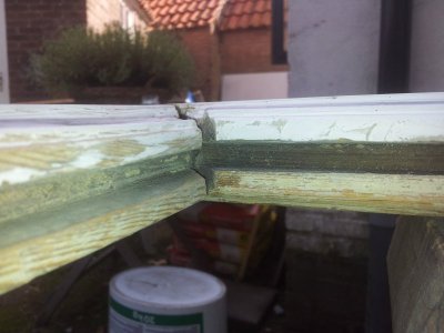 20120827_115537.jpg 20120827_115537.jpg