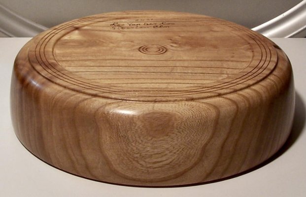 Siberian Elm bottom 1.jpeg Siberian Elm bottom 1.jpeg