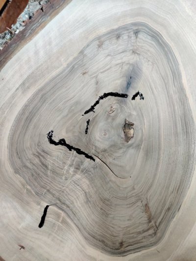 Pessimistisch Wereldvenster Archeoloog Walnoot - veel hout voor weinig geld | Woodworking.nl