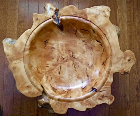 Large Willow burl bowl.jpg