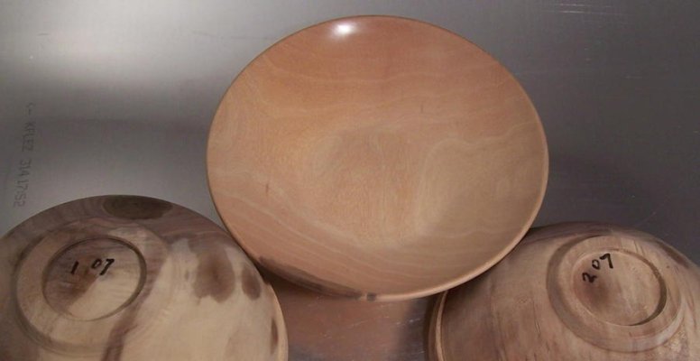 Inside Walnut sapwood.jpg Inside Walnut sapwood.jpg