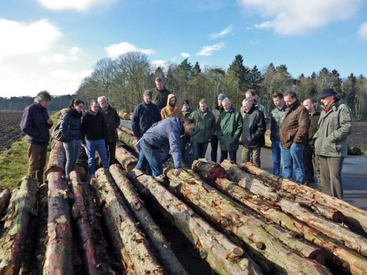 Hout-op-de-rolbaan-Schaarsbergen.jpg