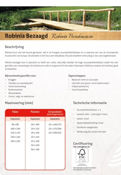 HV Fransen - Robinia bezaagd 2018.jpg