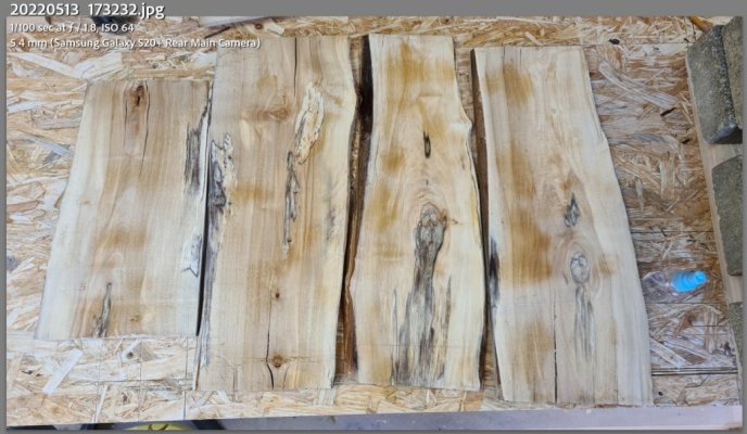 spalted birch.jpg