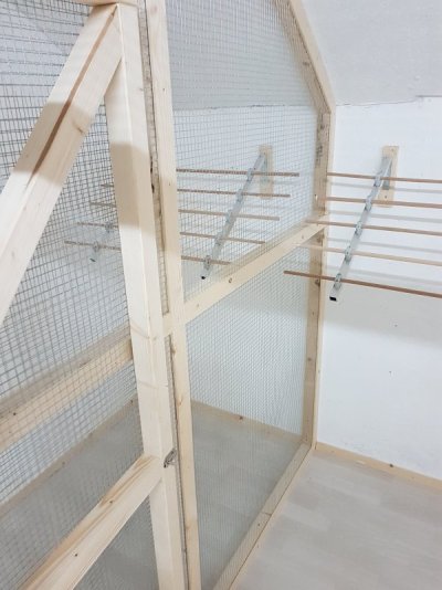 20181215_182845.jpg