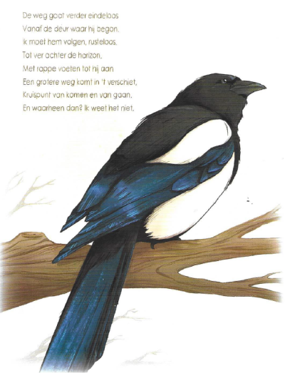 Kaart Rob Voorkant.png Kaart Rob Voorkant.png
