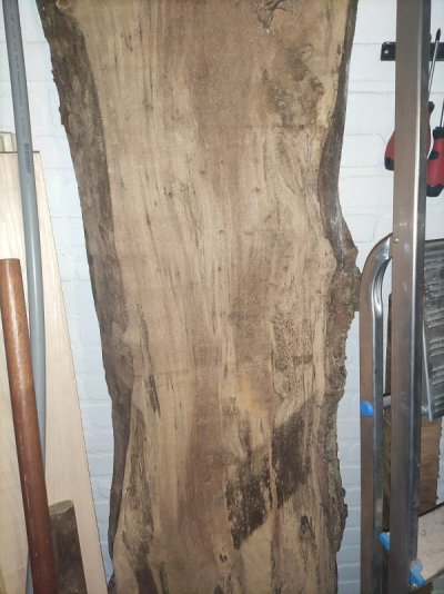 Spalted rood iepen.jpg