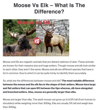 Moose vs Elk.jpg