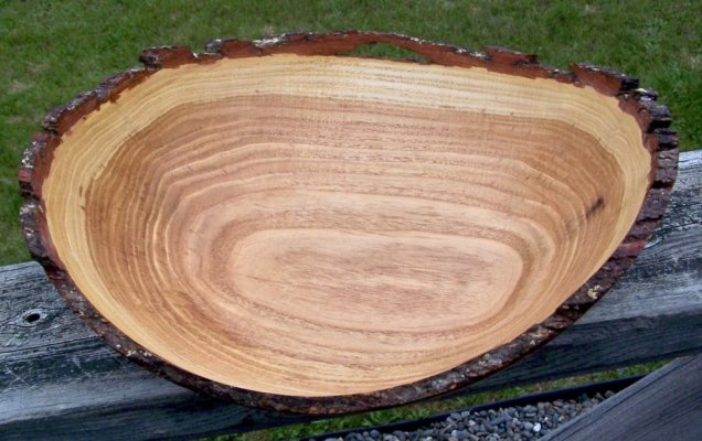 Honey Locust bowl.jpg