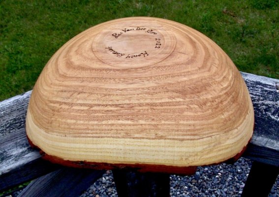 Honey Locust bottom.jpg Honey Locust bottom.jpg