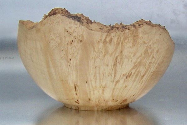 Manitoba Maple burls.jpg Manitoba Maple burls.jpg