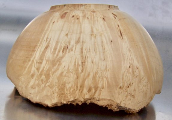 Manitoba Maple upside down.jpg Manitoba Maple upside down.jpg