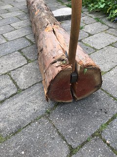 IMG_8774.jpeg IMG_8774.jpeg
