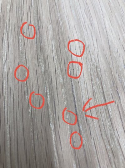Olly & Rose Witte Geharde Keramische Gebruiksvoorwerpenhouders Set Van 2 - Wit Met Zwarte Spikkels