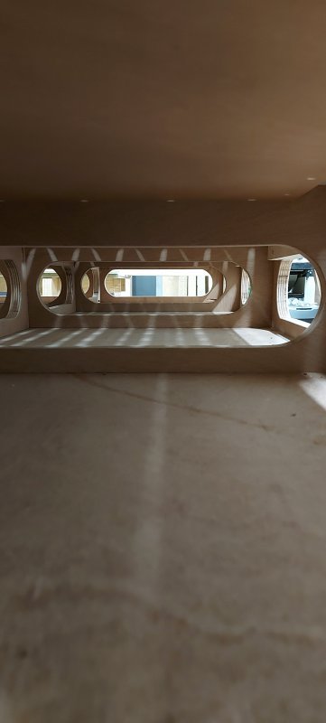 20221121_202414.jpg