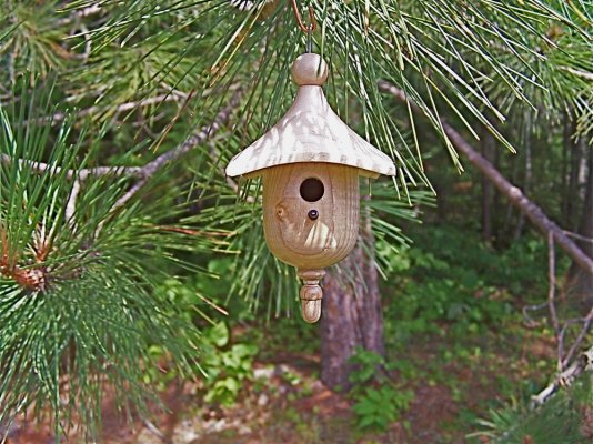 Bird house outside.jpg