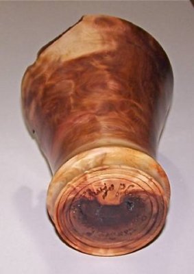 Tuja plicata bottom.jpg Tuja plicata bottom.jpg