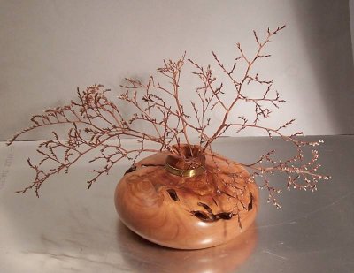Apple Hollow form & weeds.jpg Apple Hollow form & weeds.jpg