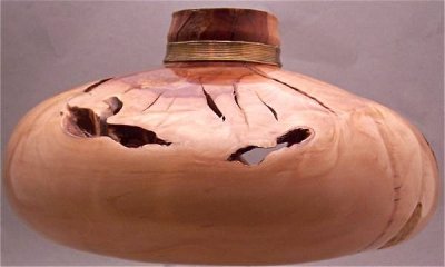 Apple hollow form.jpg