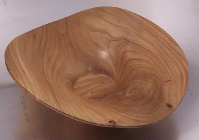Elm hat.jpg Elm hat.jpg
