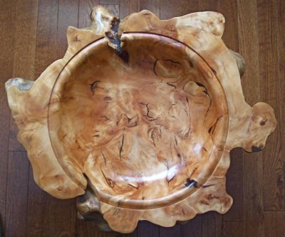 Willow burl now.jpg Willow burl now.jpg
