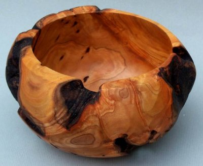 Common Buckthorn burl.jpg Common Buckthorn burl.jpg