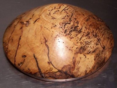 Wormy Sugar Maple bottom.jpg Wormy Sugar Maple bottom.jpg