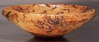 Wormy Sugar Maple.jpg Wormy Sugar Maple.jpg