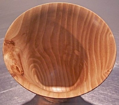 Siberian Elm inside.jpg