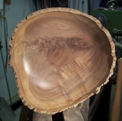 Noten hout 1.jpg Noten hout 1.jpg