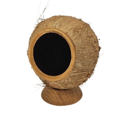New Coconut Speaker.JPG