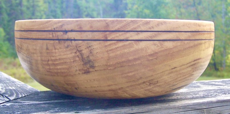 Ailanthus bowl profile.jpg