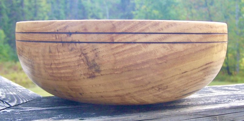 Ailanthus bowl profile.jpg Ailanthus bowl profile.jpg