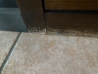 IMG_5317.jpeg IMG_5317.jpeg