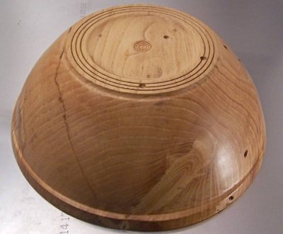 Wormy Spalte White Elm bottom.jpg Wormy Spalte White Elm bottom.jpg