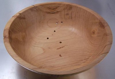 Wormy spalted White Elm bowl.jpg Wormy spalted White Elm bowl.jpg