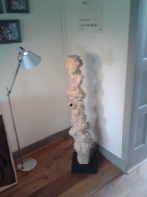 20140521_155126.jpg 20140521_155126.jpg