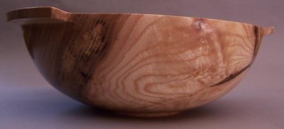 Black Ash bowl profile.jpg Black Ash bowl profile.jpg