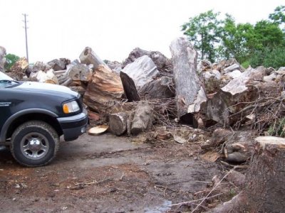 London Wood dump.jpg