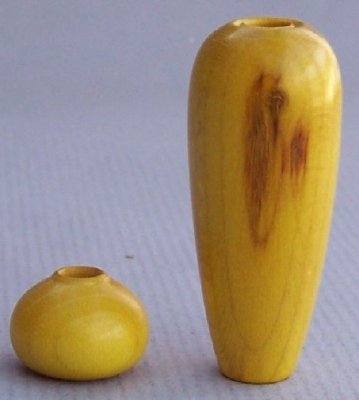 Berberis Canadensis.jpg Berberis Canadensis.jpg