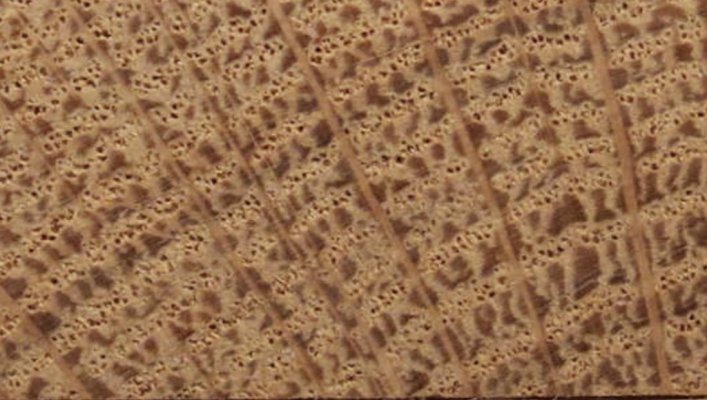 Eiken hout.jpg