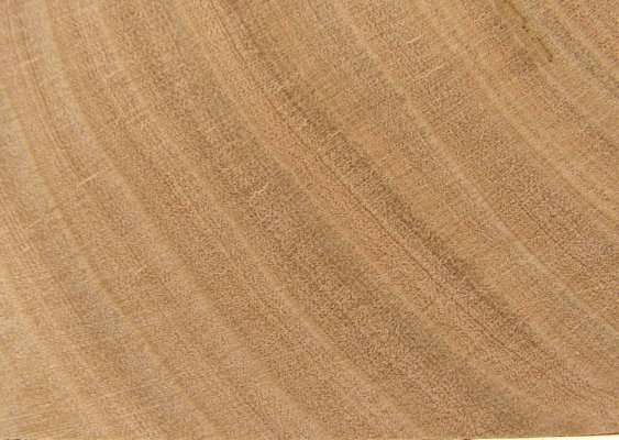 kersen hout.jpg kersen hout.jpg