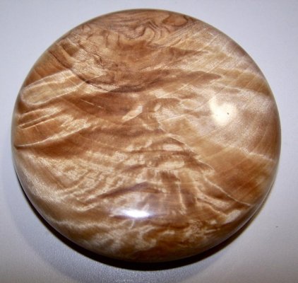 White Birch lid.jpg White Birch lid.jpg