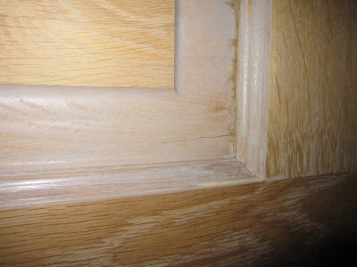 IMG_5416.jpg IMG_5416.jpg