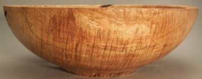 Wormy Maple profile.jpg Wormy Maple profile.jpg