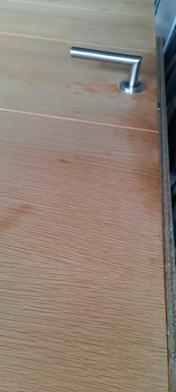 20250407_074402.jpg