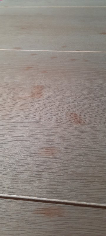 20250407_074407.jpg