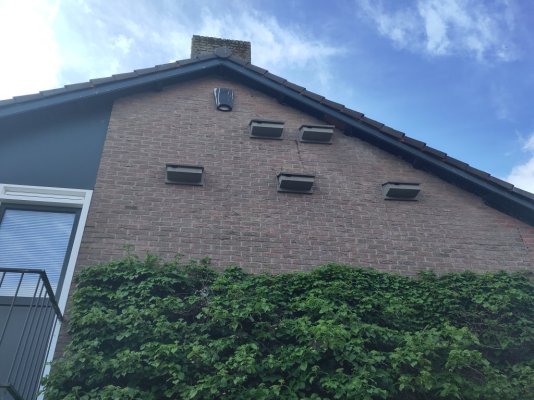 nestkasten huismus.jpg