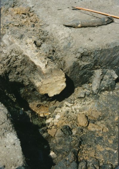 VM-6-5-Sl-65.jpg